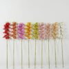 Artificial Flower Orchid single stem GS-64923002_1 Artificial Flower 12*75cm Orchid single stem GS-64923002 Single Flowers YeahFlower is one of Chinese leading OEM manufacturers and exporters , supplying the silk flowers, wholesale artificial trees