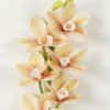 Artificial Flower Orchid single stem GS-64923002_2 Artificial Flower 12*75cm Orchid single stem GS-64923002 Single Flowers YeahFlower is one of Chinese leading OEM manufacturers and exporters , supplying the silk flowers, wholesale artificial trees