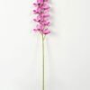 Artificial Flower Orchid single stem GS-64923002_5 Artificial Flower 12*75cm Orchid single stem GS-64923002 Single Flowers YeahFlower is one of Chinese leading OEM manufacturers and exporters , supplying the silk flowers, wholesale artificial trees