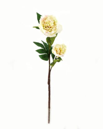 Artificial Flower 20*20*76cm Penoy *2 single stem GS-27923013-G1 Single Flowers YeahFlower is one of Chinese leading OEM manufacturers and exporters , supplying the silk flowers, wholesale artificial trees Artificial Flower 20*20*76cm Penoy *2 single stem GS-27923013-G1 Single Flowers YeahFlower is one of Chinese leading OEM manufacturers and exporters , supplying the silk flowers, wholesale artificial trees