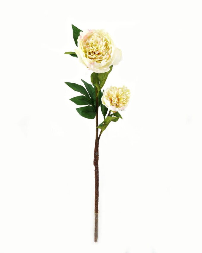 Artificial Flower 20*20*76cm Penoy *2 single stem GS-27923013-G1 Single Flowers YeahFlower is one of Chinese leading OEM manufacturers and exporters , supplying the silk flowers, wholesale artificial trees