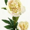 Artificial Flower 20*20*76cm Penoy *2 single stem GS-27923013-G1 Single Flowers YeahFlower is one of Chinese leading OEM manufacturers and exporters , supplying the silk flowers, wholesale artificial trees