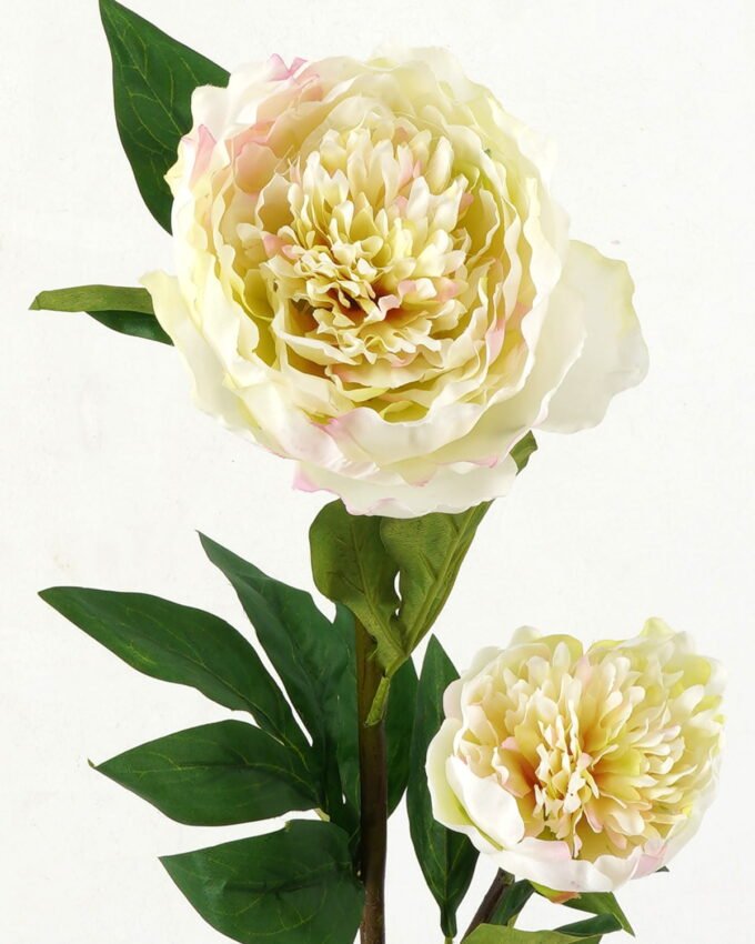 Artificial Flower 20*20*76cm Penoy *2 single stem GS-27923013-G1 Single Flowers YeahFlower is one of Chinese leading OEM manufacturers and exporters , supplying the silk flowers, wholesale artificial trees