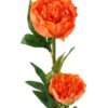 Artificial Flower Penoy 2 single stem GS-27923013-O1_5 Artificial Flower 20*20*76cm Penoy *2 single stem GS-27923013-O1 Single Flowers YeahFlower is one of Chinese leading OEM manufacturers and exporters , supplying the silk flowers, wholesale artificial trees