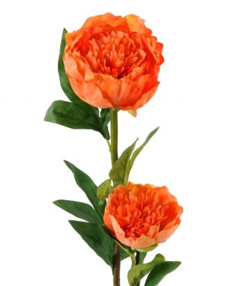 Artificial Flower 20*20*76cm Penoy *2 single stem GS-27923013-O1 Single Flowers YeahFlower is one of Chinese leading OEM manufacturers and exporters , supplying the silk flowers, wholesale artificial trees Artificial Flower 20*20*76cm Penoy *2 single stem GS-27923013-O1 Single Flowers YeahFlower is one of Chinese leading OEM manufacturers and exporters , supplying the silk flowers, wholesale artificial trees