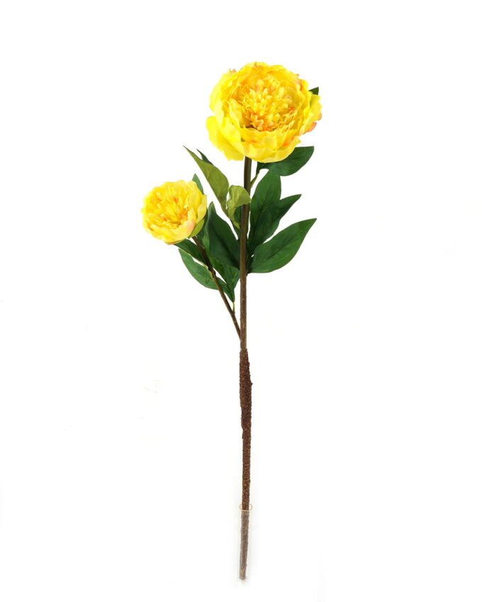 Artificial Flower Penoy 2 single stem GS-27923013-O1_6 Artificial Flower 20*20*76cm Penoy *2 single stem GS-27923013-O1 Single Flowers YeahFlower is one of Chinese leading OEM manufacturers and exporters , supplying the silk flowers, wholesale artificial trees