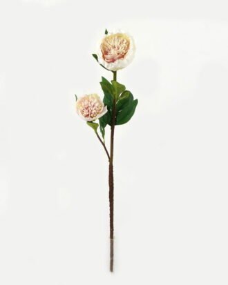 Artificial Flower 20*20*76cm Penoy *2 single stem GS-27923013-P2 Single Flowers YeahFlower is one of Chinese leading OEM manufacturers and exporters , supplying the silk flowers, wholesale artificial trees Artificial Flower 20*20*76cm Penoy *2 single stem GS-27923013-P2 Single Flowers YeahFlower is one of Chinese leading OEM manufacturers and exporters , supplying the silk flowers, wholesale artificial trees