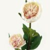 Artificial Flower 20*20*76cm Penoy *2 single stem GS-27923013-P2 Single Flowers YeahFlower is one of Chinese leading OEM manufacturers and exporters , supplying the silk flowers, wholesale artificial trees