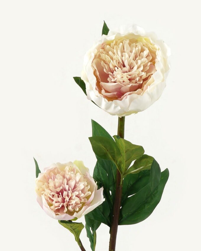 Artificial Flower 20*20*76cm Penoy *2 single stem GS-27923013-P2 Single Flowers YeahFlower is one of Chinese leading OEM manufacturers and exporters , supplying the silk flowers, wholesale artificial trees