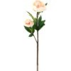 Artificial Flower 20*20*76cm Penoy *2 single stem GS-27923013-P2 Single Flowers YeahFlower is one of Chinese leading OEM manufacturers and exporters , supplying the silk flowers, wholesale artificial trees
