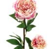 Artificial Flower Penoy 2 single stem GS-27923013_2 Artificial Flower 20*20*76cm Penoy *2 single stem GS-27923013 Single Flowers YeahFlower is one of Chinese leading OEM manufacturers and exporters , supplying the silk flowers, wholesale artificial trees