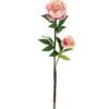 Artificial Flower Penoy 2 single stem GS-27923013_3 Artificial Flower 20*20*76cm Penoy *2 single stem GS-27923013 Single Flowers YeahFlower is one of Chinese leading OEM manufacturers and exporters , supplying the silk flowers, wholesale artificial trees