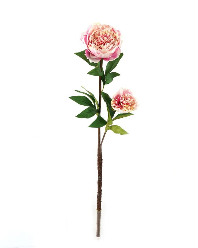 Artificial Flower Penoy 2 single stem GS-27923013_3 Artificial Flower 20*20*76cm Penoy *2 single stem GS-27923013 Single Flowers YeahFlower is one of Chinese leading OEM manufacturers and exporters , supplying the silk flowers, wholesale artificial trees