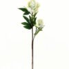 Artificial Flower Penoy 2 single stem GS-27923013_4 Artificial Flower 20*20*76cm Penoy *2 single stem GS-27923013 Single Flowers YeahFlower is one of Chinese leading OEM manufacturers and exporters , supplying the silk flowers, wholesale artificial trees