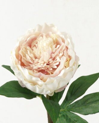 Artificial Flower 23*23*58cm Penoy single stem GS-27923014 Single Flowers YeahFlower is one of Chinese leading OEM manufacturers and exporters , supplying the silk flowers, wholesale artificial trees Artificial Flower 23*23*58cm Penoy single stem GS-27923014 Single Flowers YeahFlower is one of Chinese leading OEM manufacturers and exporters , supplying the silk flowers, wholesale artificial trees