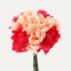 Artificial Flower 22*22*29cm Peony *12 bundle GS-06923002KIK Bouquet YeahFlower is one of Chinese leading OEM manufacturers and exporters , supplying the silk flowers, wholesale artificial trees