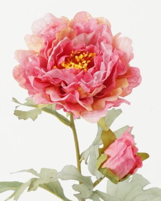 Artificial Flower 20*20*59cm Peony *2 single stem GS-58823007-P2 Single Flowers YeahFlower is one of Chinese leading OEM manufacturers and exporters , supplying the silk flowers, wholesale artificial trees Artificial Flower 20*20*59cm Peony *2 single stem GS-58823007-P2 Single Flowers YeahFlower is one of Chinese leading OEM manufacturers and exporters , supplying the silk flowers, wholesale artificial trees