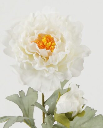 Artificial Flower 20*20*59cm Peony *2 single stem GS-58823007-W1 Single Flowers YeahFlower is one of Chinese leading OEM manufacturers and exporters , supplying the silk flowers, wholesale artificial trees Artificial Flower 20*20*59cm Peony *2 single stem GS-58823007-W1 Single Flowers YeahFlower is one of Chinese leading OEM manufacturers and exporters , supplying the silk flowers, wholesale artificial trees