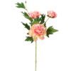 Artificial Flower 19*19*60cm Peony *3 single stem GS-16823016-P2 Single Flowers YeahFlower is one of Chinese leading OEM manufacturers and exporters , supplying the silk flowers, wholesale artificial trees