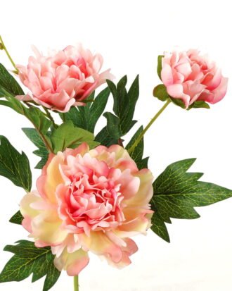 Artificial Flower 19*19*60cm Peony *3 single stem GS-16823016-P2 Single Flowers YeahFlower is one of Chinese leading OEM manufacturers and exporters , supplying the silk flowers, wholesale artificial trees Artificial Flower 19*19*60cm Peony *3 single stem GS-16823016-P2 Single Flowers YeahFlower is one of Chinese leading OEM manufacturers and exporters , supplying the silk flowers, wholesale artificial trees
