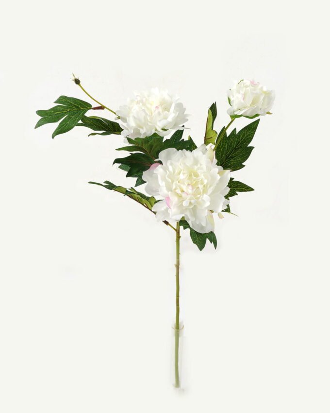 Artificial Flower 19*19*60cm Peony *3 single stem GS-16823016-W1 Single Flowers YeahFlower is one of Chinese leading OEM manufacturers and exporters , supplying the silk flowers, wholesale artificial trees
