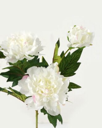 Artificial Flower 19*19*60cm Peony *3 single stem GS-16823016-W1 Single Flowers YeahFlower is one of Chinese leading OEM manufacturers and exporters , supplying the silk flowers, wholesale artificial trees Artificial Flower 19*19*60cm Peony *3 single stem GS-16823016-W1 Single Flowers YeahFlower is one of Chinese leading OEM manufacturers and exporters , supplying the silk flowers, wholesale artificial trees