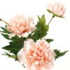 Artificial Flower 19*19*60cm Peony *3 single stem GS-16823016 Single Flowers YeahFlower is one of Chinese leading OEM manufacturers and exporters , supplying the silk flowers, wholesale artificial trees