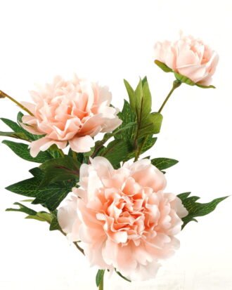 Artificial Flower 19*19*60cm Peony *3 single stem GS-16823016 Single Flowers YeahFlower is one of Chinese leading OEM manufacturers and exporters , supplying the silk flowers, wholesale artificial trees Artificial Flower 19*19*60cm Peony *3 single stem GS-16823016 Single Flowers YeahFlower is one of Chinese leading OEM manufacturers and exporters , supplying the silk flowers, wholesale artificial trees