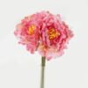 Artificial Flower 18*18*18cm Peony *5 bundle GS-58823008-P2 Bouquet YeahFlower is one of Chinese leading OEM manufacturers and exporters , supplying the silk flowers, wholesale artificial trees