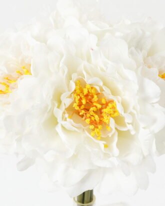 Artificial Flower 18*18*18cm Peony *5 bundle GS-58823008-W1 Bouquet YeahFlower is one of Chinese leading OEM manufacturers and exporters , supplying the silk flowers, wholesale artificial trees Artificial Flower 18*18*18cm Peony *5 bundle GS-58823008-W1 Bouquet YeahFlower is one of Chinese leading OEM manufacturers and exporters , supplying the silk flowers, wholesale artificial trees