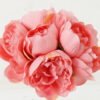 Artificial Flower 20*20*32cm Peony *6 bundle GS-06923001KIK-P1 Bouquet YeahFlower is one of Chinese leading OEM manufacturers and exporters , supplying the silk flowers, wholesale artificial trees
