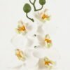 Artificial Flower Phalaenopsis 5 single stem GS-64923001-W1_5 Artificial Flower 11*55cm Phalaenopsis *5 single stem GS-64923001-W1 Single Flowers YeahFlower is one of Chinese leading OEM manufacturers and exporters , supplying the silk flowers, wholesale artificial trees