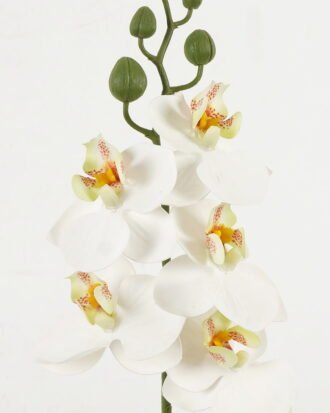 Artificial Flower 11*55cm Phalaenopsis *5 single stem GS-64923001-W1 Single Flowers YeahFlower is one of Chinese leading OEM manufacturers and exporters , supplying the silk flowers, wholesale artificial trees