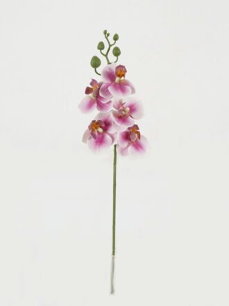 Artificial Flower 11*55cm Phalaenopsis *5 single stem GS-64923001-W1 Single Flowers 3,000+ sqm showroom with thousands of artificial flowers, plants & trees ready for global sourcing.
