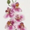 Artificial Flower 11*55cm Phalaenopsis *5 single stem GS-64923001-Z1 Single Flowers YeahFlower is one of Chinese leading OEM manufacturers and exporters , supplying the silk flowers, wholesale artificial trees