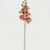 Artificial Flower Phalaenopsis 5 single stem GS-64923001-Z2_1 Artificial Flower 11*55cm Phalaenopsis *5 single stem GS-64923001-Z2 Single Flowers YeahFlower is one of Chinese leading OEM manufacturers and exporters , supplying the silk flowers, wholesale artificial trees