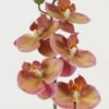 Artificial Flower Phalaenopsis 5 single stem GS-64923001-Z2_5 Artificial Flower 11*55cm Phalaenopsis *5 single stem GS-64923001-Z2 Single Flowers YeahFlower is one of Chinese leading OEM manufacturers and exporters , supplying the silk flowers, wholesale artificial trees