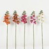 Artificial Flower 11*55cm Phalaenopsis *5 single stem GS-64923001 Single Flowers YeahFlower is one of Chinese leading OEM manufacturers and exporters , supplying the silk flowers, wholesale artificial trees