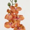Artificial Flower 11*55cm Phalaenopsis *5 single stem GS-64923001 Single Flowers YeahFlower is one of Chinese leading OEM manufacturers and exporters , supplying the silk flowers, wholesale artificial trees