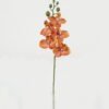 Artificial Flower 11*55cm Phalaenopsis *5 single stem GS-64923001 Single Flowers YeahFlower is one of Chinese leading OEM manufacturers and exporters , supplying the silk flowers, wholesale artificial trees
