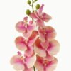 Artificial Flower 18*95cm Phalaenopsis *7 single stem GS-64923004-P1 Single Flowers YeahFlower is one of Chinese leading OEM manufacturers and exporters , supplying the silk flowers, wholesale artificial trees