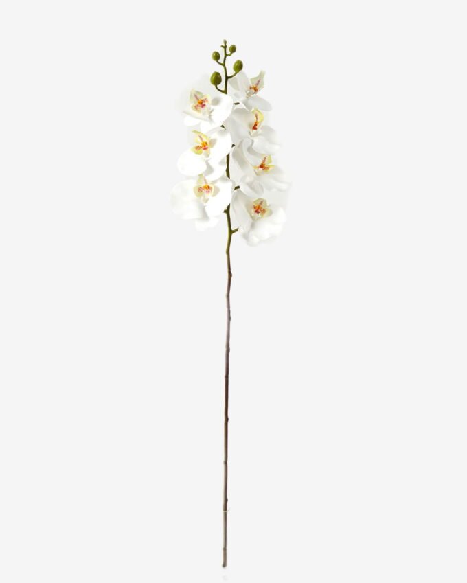 Artificial Flower 18*95cm Phalaenopsis *7 single stem GS-64923004-W1 Single Flowers YeahFlower is one of Chinese leading OEM manufacturers and exporters , supplying the silk flowers, wholesale artificial trees