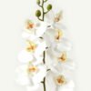 Artificial Flower 18*95cm Phalaenopsis *7 single stem GS-64923004-W1 Single Flowers YeahFlower is one of Chinese leading OEM manufacturers and exporters , supplying the silk flowers, wholesale artificial trees