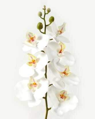 Artificial Flower 18*95cm Phalaenopsis *7 single stem GS-64923004-W1 Single Flowers YeahFlower is one of Chinese leading OEM manufacturers and exporters , supplying the silk flowers, wholesale artificial trees
