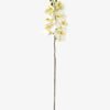 Artificial Flower 18*95cm Phalaenopsis *7 single stem GS-64923004-W2 Single Flowers YeahFlower is one of Chinese leading OEM manufacturers and exporters , supplying the silk flowers, wholesale artificial trees
