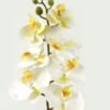 Artificial Flower 18*95cm Phalaenopsis *7 single stem GS-64923004-W2 Single Flowers YeahFlower is one of Chinese leading OEM manufacturers and exporters , supplying the silk flowers, wholesale artificial trees