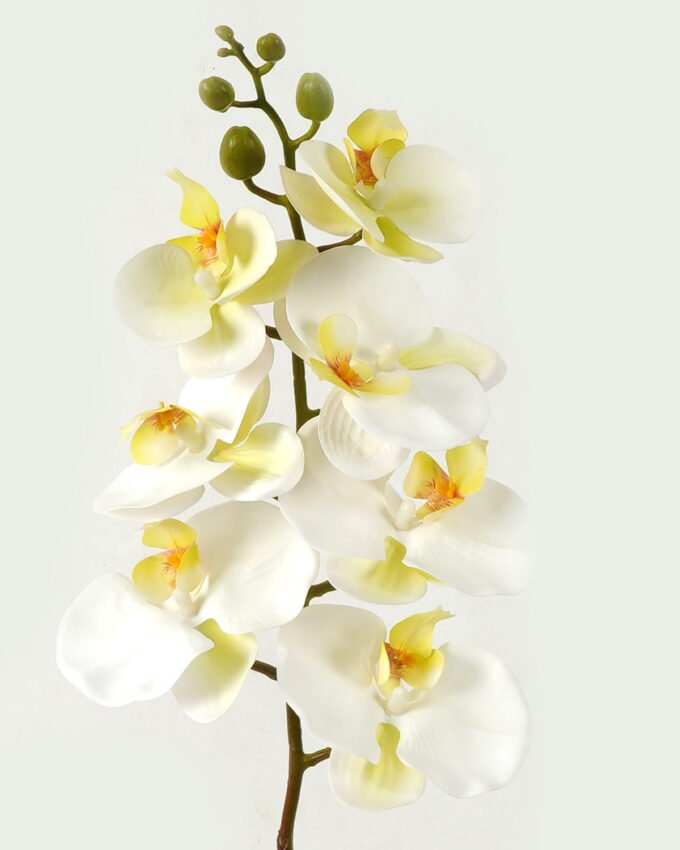 Artificial Flower 18*95cm Phalaenopsis *7 single stem GS-64923004-W2 Single Flowers YeahFlower is one of Chinese leading OEM manufacturers and exporters , supplying the silk flowers, wholesale artificial trees
