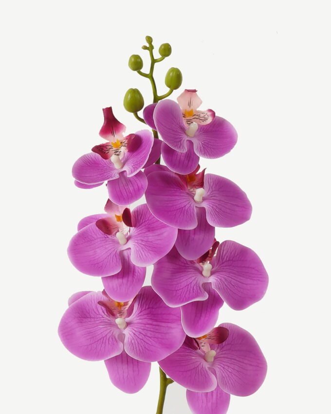 Artificial Flower 18*95cm Phalaenopsis *7 single stem GS-64923004-Z1 Single Flowers YeahFlower is one of Chinese leading OEM manufacturers and exporters , supplying the silk flowers, wholesale artificial trees