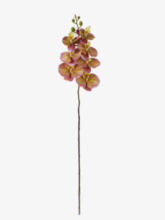 Artificial Flower 18*95cm Phalaenopsis *7 single stem GS-64923004-Z1 Single Flowers 3,000+ sqm showroom with thousands of artificial flowers, plants & trees ready for global sourcing.