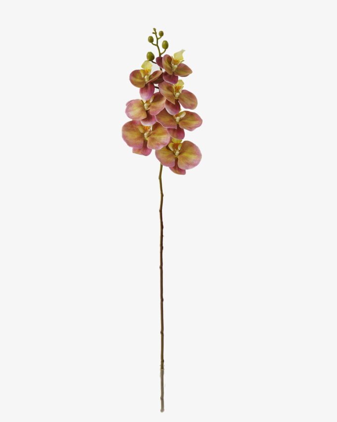 Artificial Flower 18*95cm Phalaenopsis *7 single stem GS-64923004-Z2 Single Flowers YeahFlower is one of Chinese leading OEM manufacturers and exporters , supplying the silk flowers, wholesale artificial trees